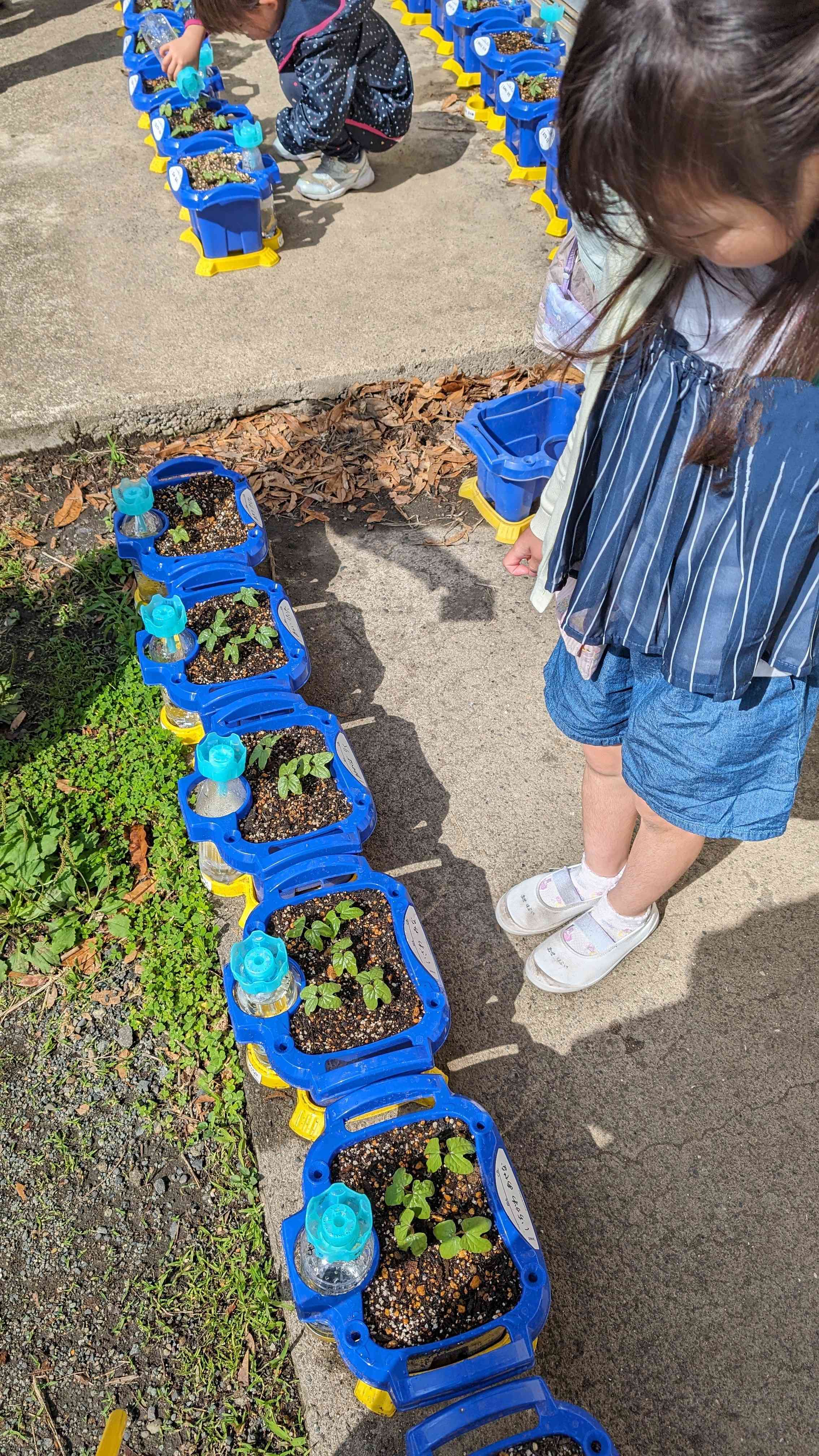 PXL_20240521_231542763~2