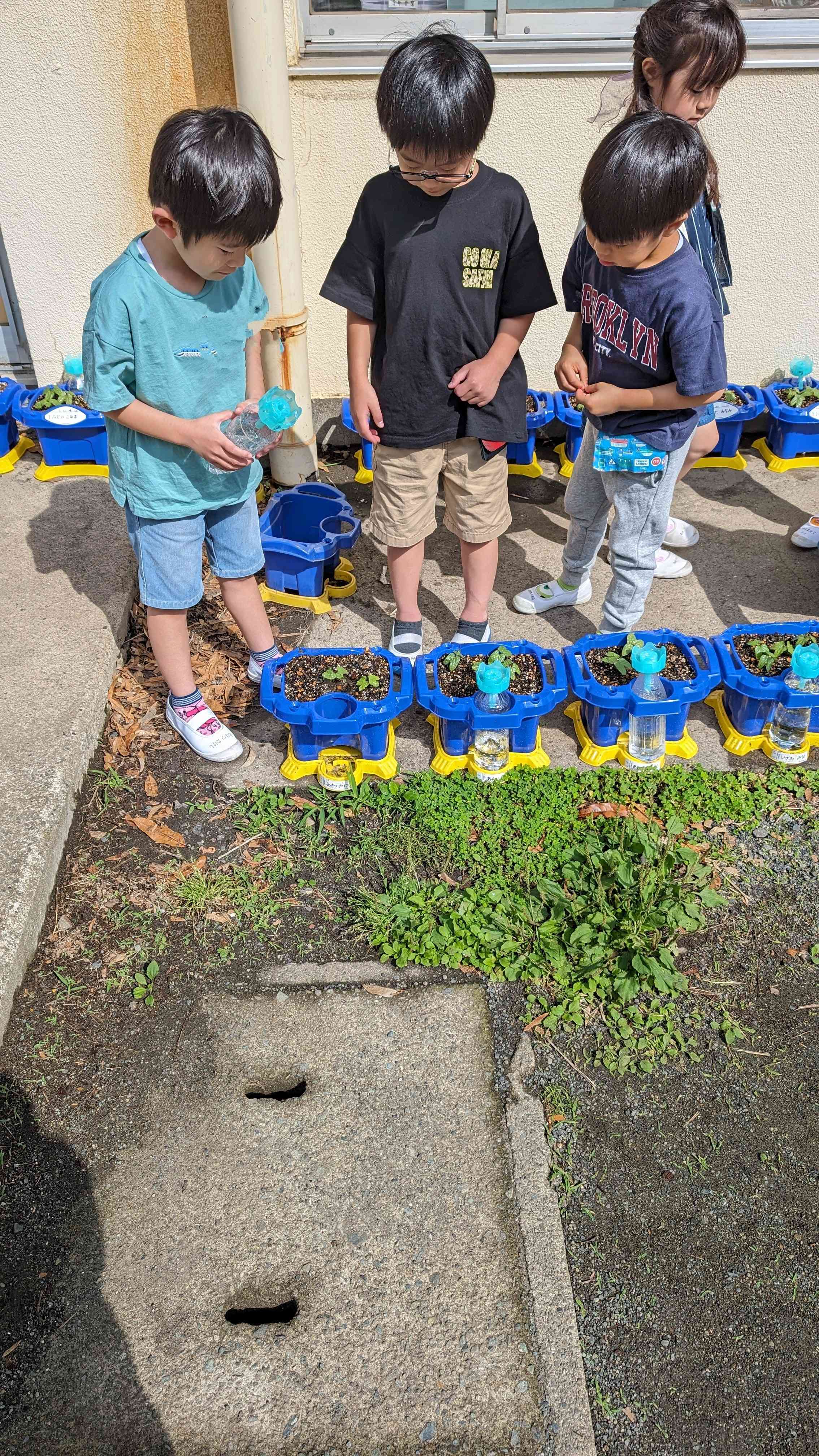 PXL_20240521_231751169~2