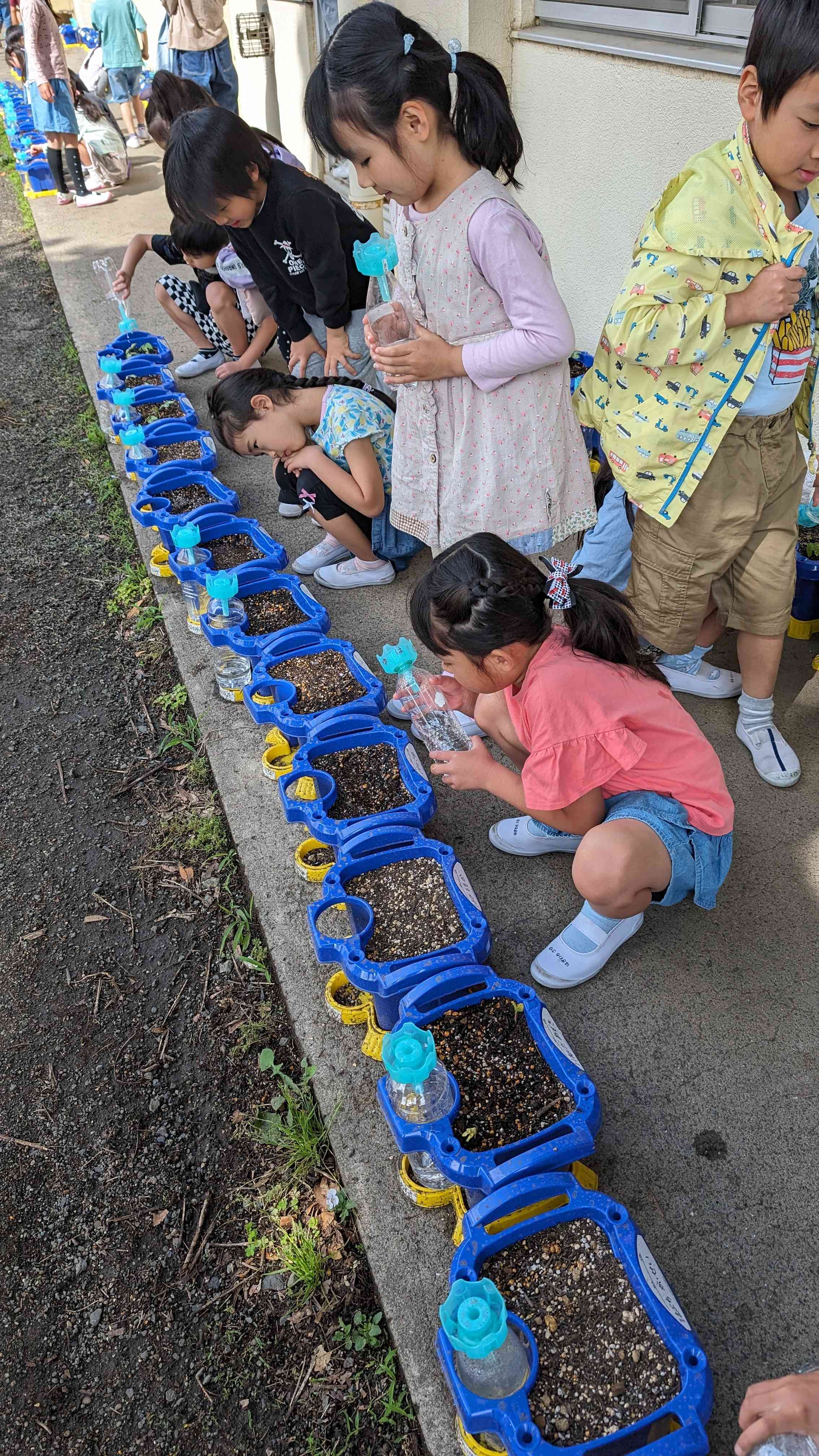 PXL_20240521_231703500