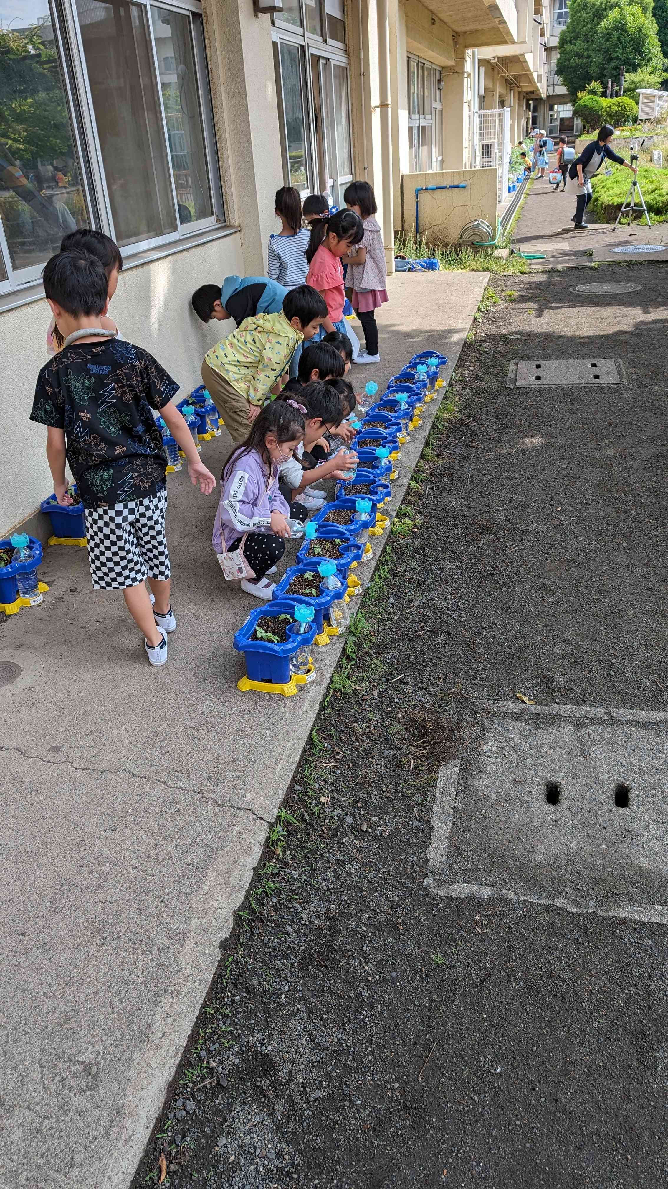 PXL_20240521_231620726