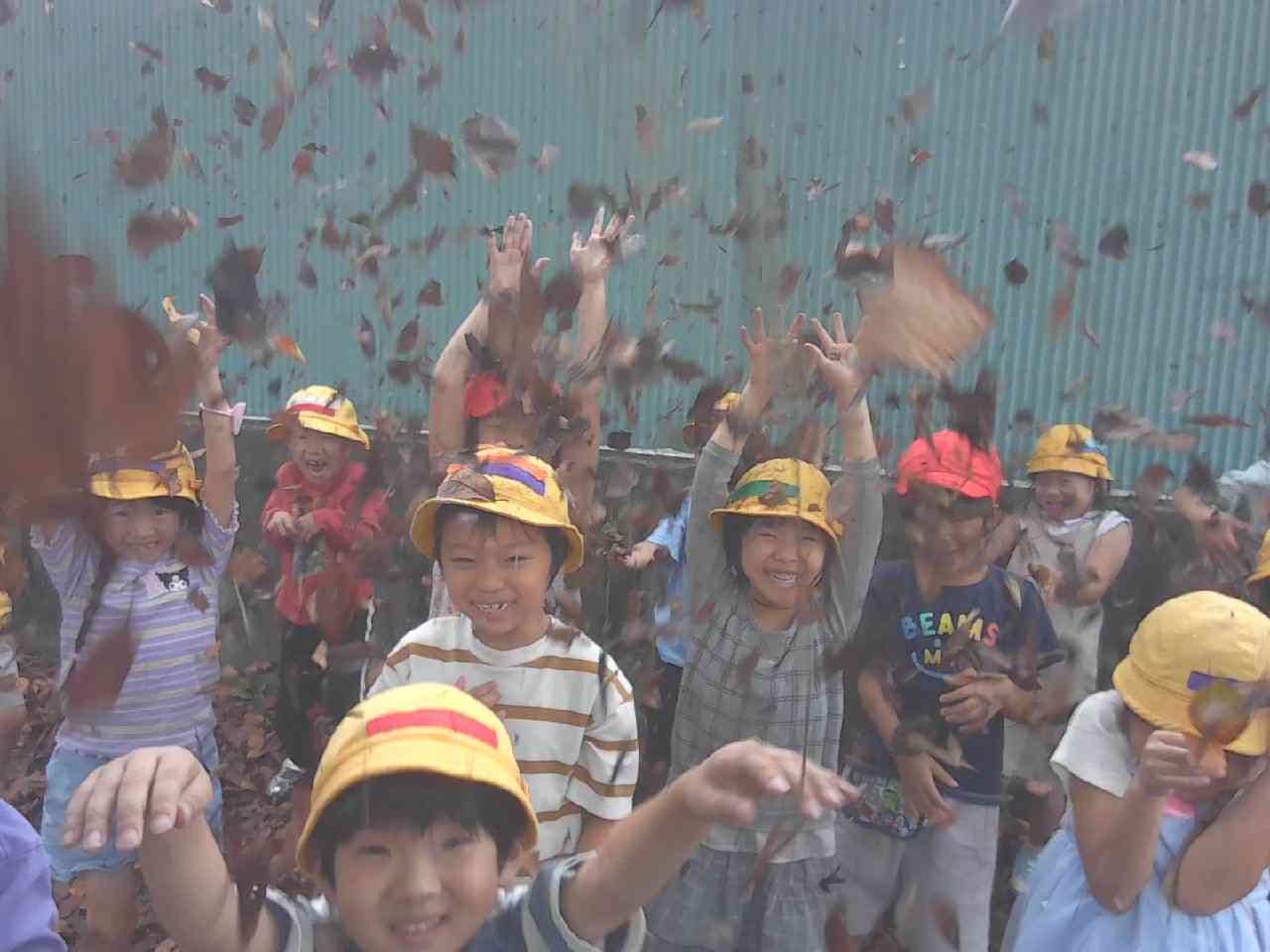 IMG_20251003_111211 (1)