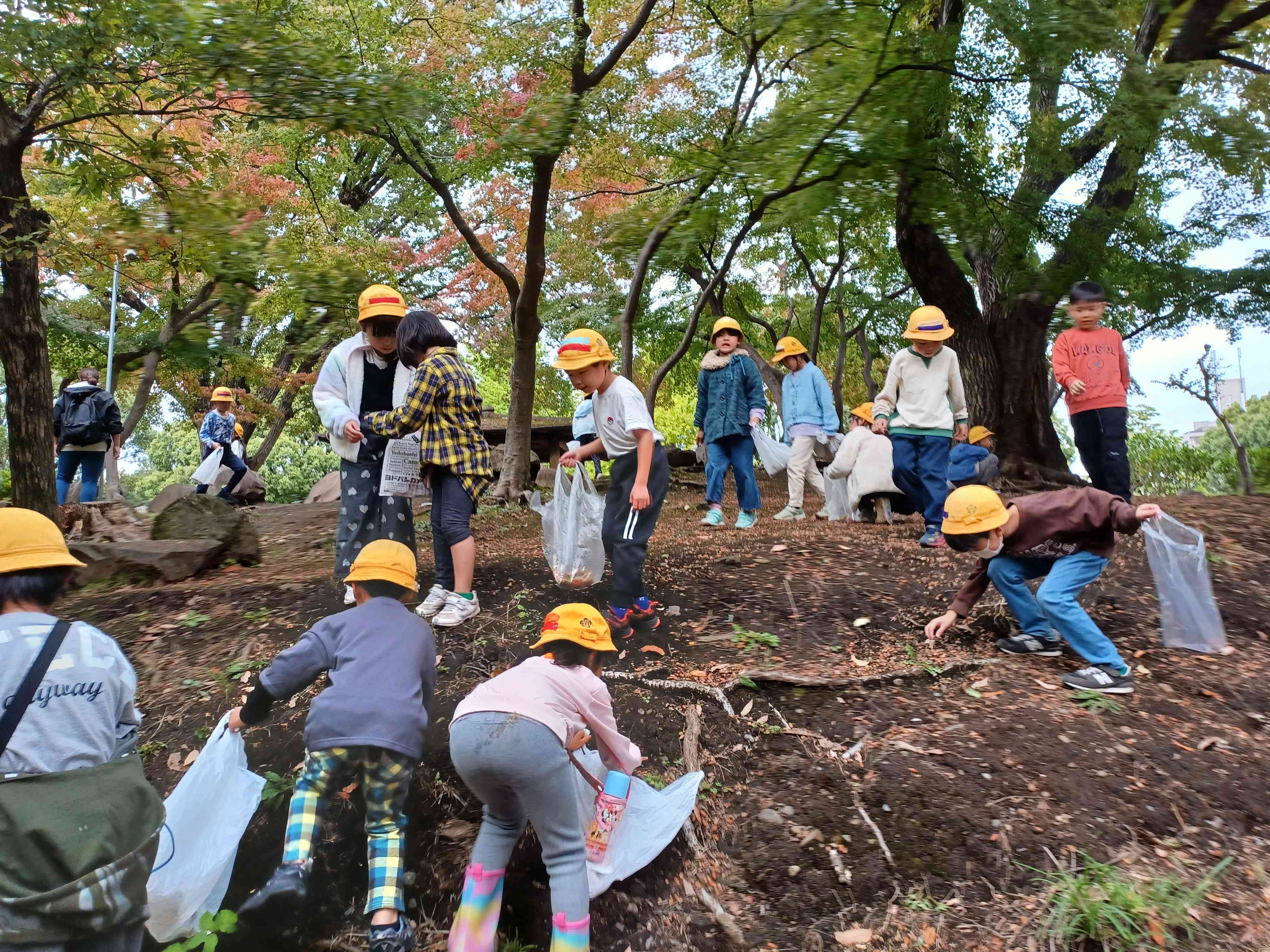 2025年11月7日（6:29）