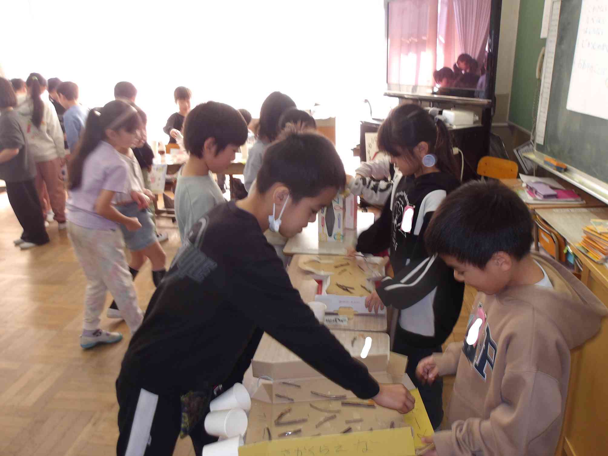 どんぐり転がし！楽勝楽勝！