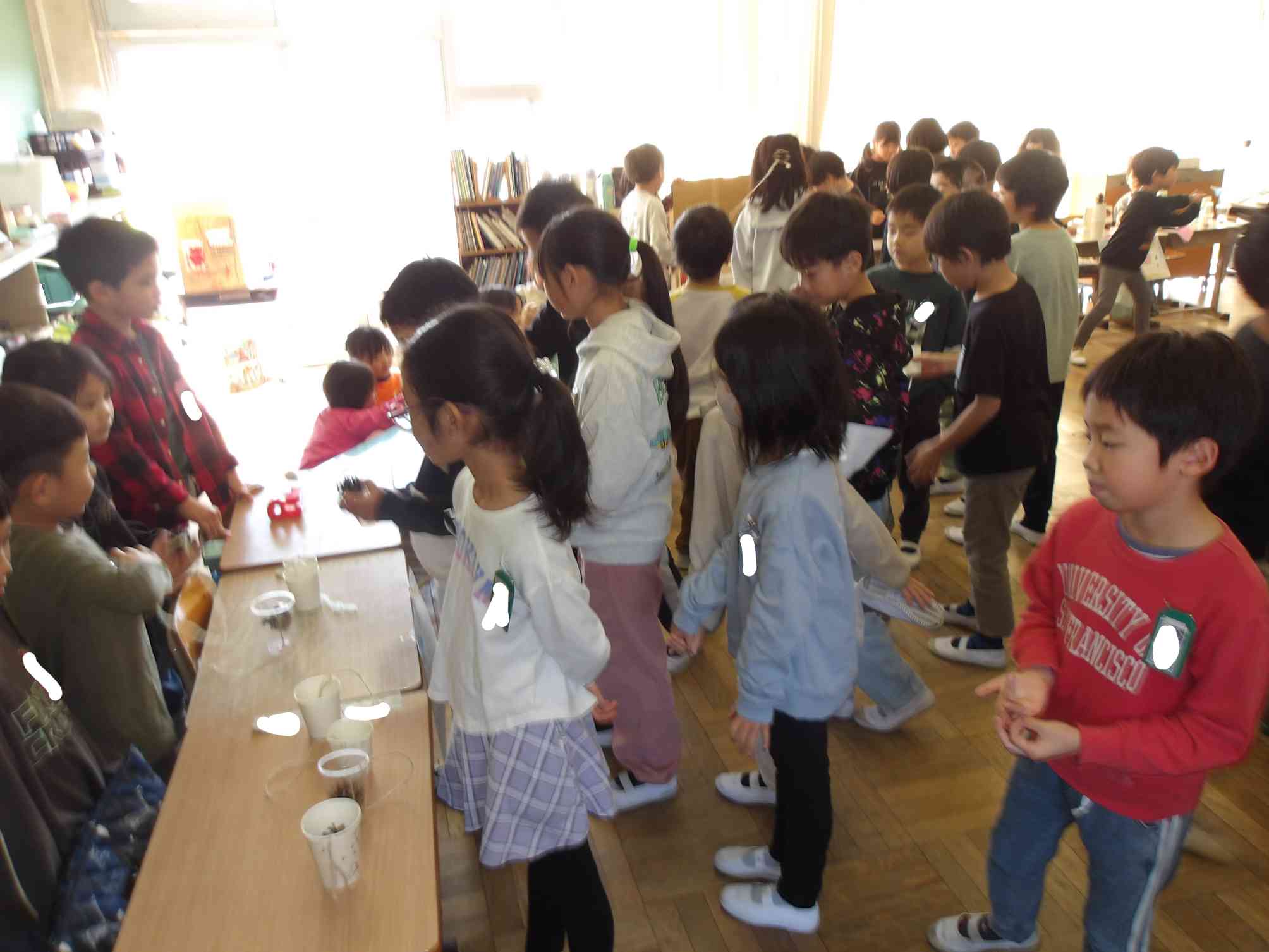 どんぐりけん玉！楽しみ！