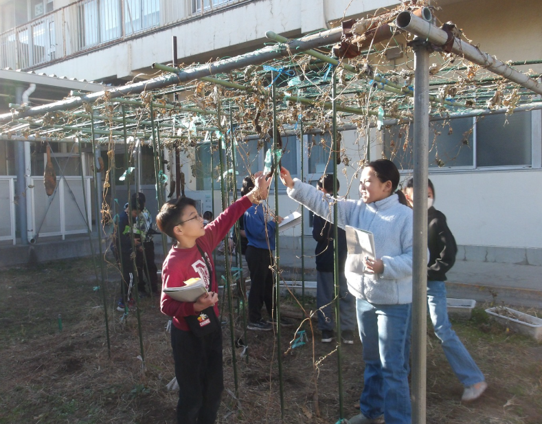 Screenshot 2026-01-13 16.59.11