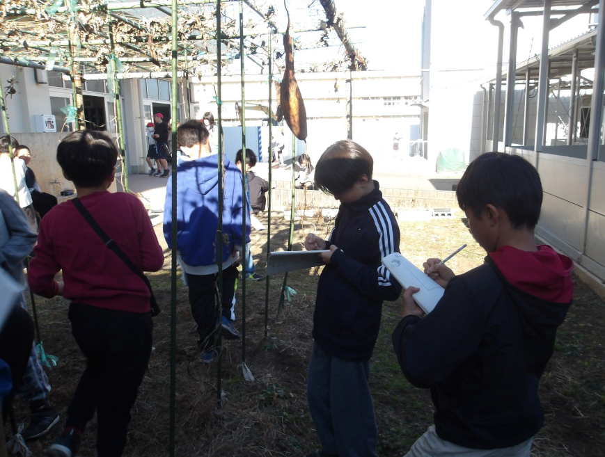 Screenshot 2026-01-13 17.01.43