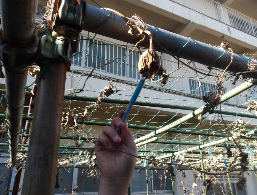 Screenshot 2026-01-13 17.01.30