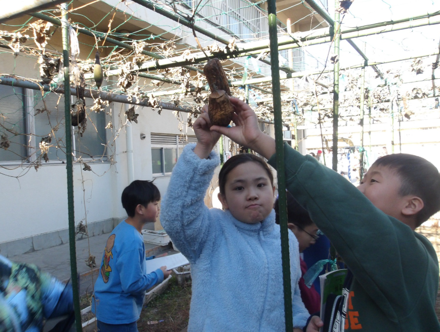 Screenshot 2026-01-13 17.01.59